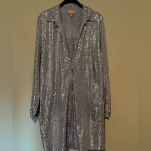 Show Me Your MuMu Silver Long Sleeve Dress
